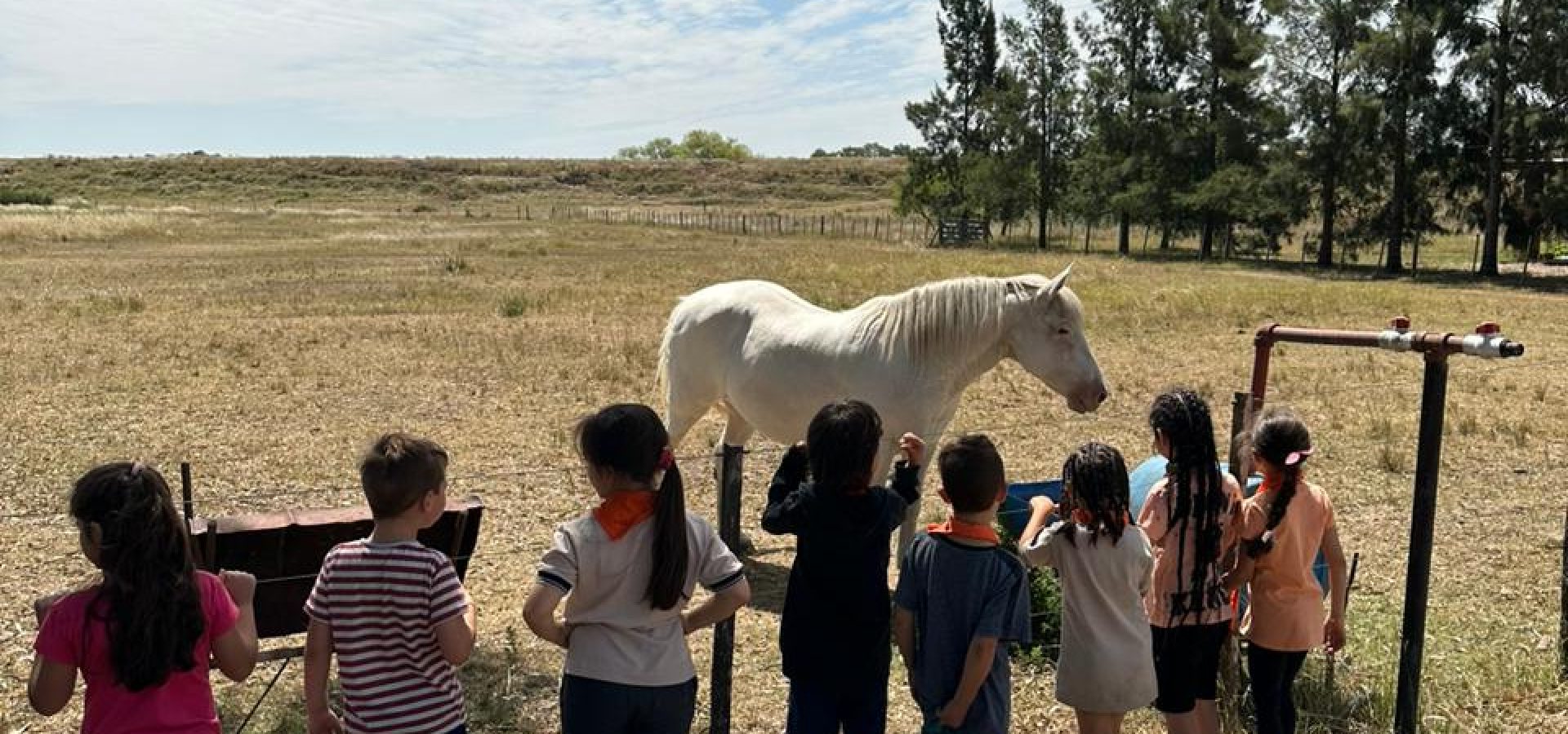 WhatsApp Image 2026-02-03 at 11.12.19 AM